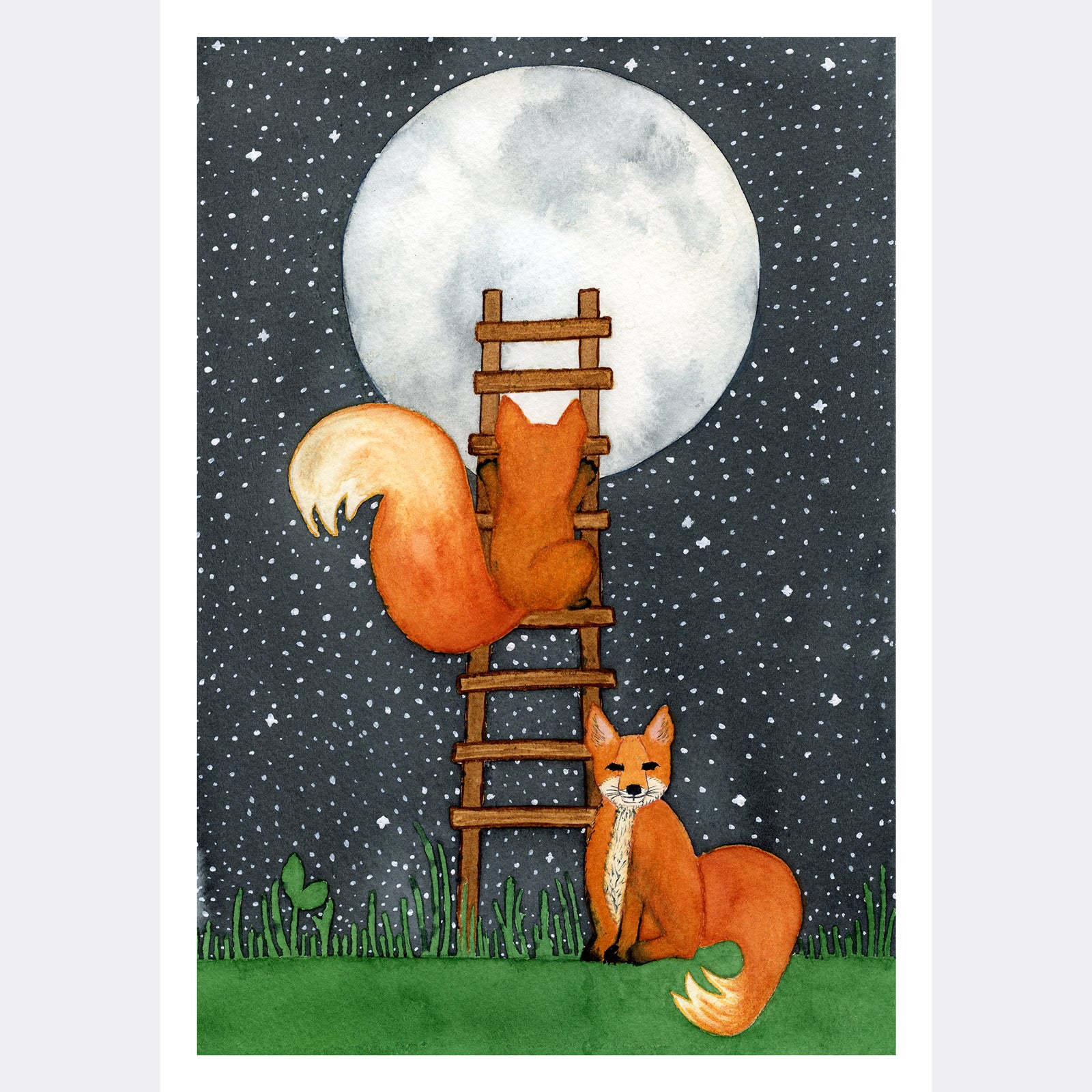 Two orange foxes try to reach a full moon by climbing a ladder in front of a starry night sky (print only)